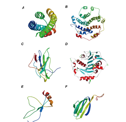 Şekil 1. Koronavirüs proteinlerinin 3 boyutlu şematik görünümü